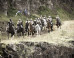 Game of Thrones im Live-Stream: Staffel 6 Folge 6 online sehen Game of Thrones im Live-Stream: Staffel 6 Folge 6 online sehen